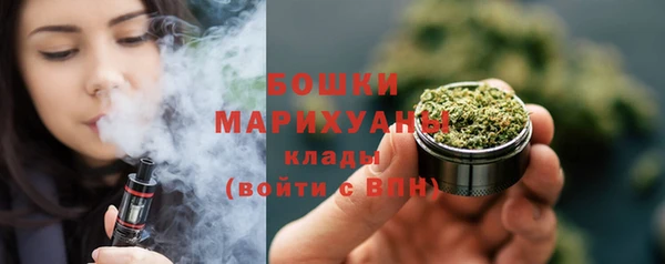 ешки Осинники