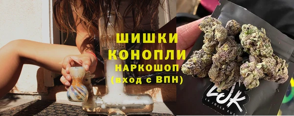 ешки Осинники